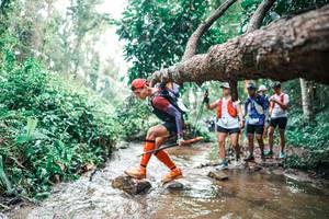 BIB: 
                            <button type="button" onclick="openModal(25374371)" class="btn btn-primary btn-sm float-right btn-popup" data-toggle="modal" data-target=".modal-high-quality">
                        <i class="fas fa-shopping-cart"></i> Add to Cart
                    </button>
                                            <button type="button" onclick="isThisMe(25374371, true)" class="btn btn-success btn-sm float-right btn-popup btn-isme hidden" data-toggle="tooltip" data-placement="bottom" title="นี่คือรูปของคุณใช่ไหม คลิกที่นี่เพื่อเอาเข้าอัลบั้ม">
                        <i class="fas fa-plus"></i> Add to album
                    </button>
                    <button type="button" onclick="isThisMe(25374371, false)" class="btn btn-warning btn-sm float-right btn-popup btn-isnotme hidden">
                        <i class="fas fa-ban"></i> Remove from album
                    </button>